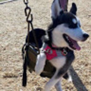 Meet your Posher, Hattey m